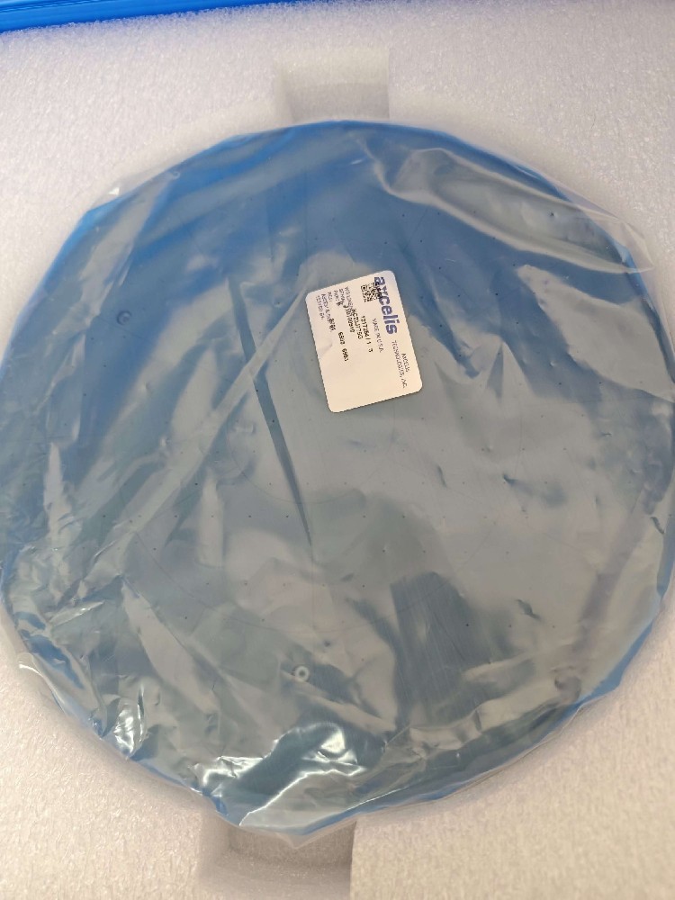 PURION XE E-chuck 110100910